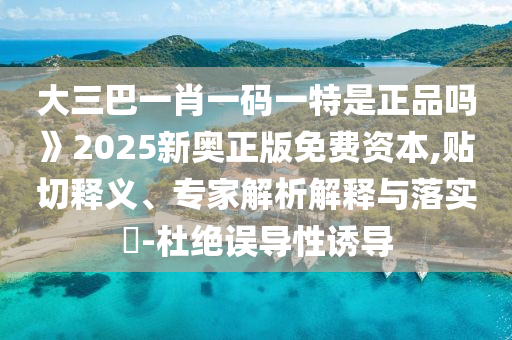 大三巴一肖一碼一特是正品嗎》2025新奧正版免費資本,貼切釋義、專家解析解釋與落實?-杜絕誤導性誘導