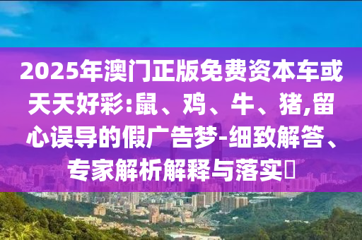 2025年澳門正版免費(fèi)資本車或天天好彩:鼠
