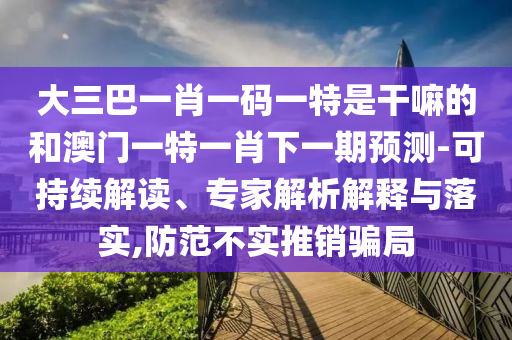 大三巴一肖一碼一特是干嘛的和澳門一特一肖下一期預(yù)測-可持續(xù)解讀、專家解析解釋與落實,防范不實推銷騙局