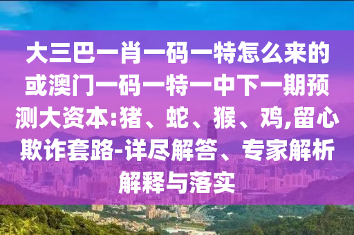 大三巴一肖一碼一特怎么來的或澳門一碼一特一中下一期預(yù)測大資本:豬、蛇、猴、雞,留心欺詐套路-詳盡解答、專家解析解釋與落實