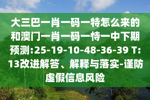 大三巴一肖一碼一特怎么來的和澳門一肖一碼一恃一中下期預(yù)測:25-19-10-48-36-39 T:13改進解答、解釋與落實-謹防虛假信息風(fēng)險