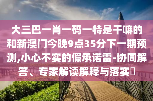 大三巴一肖一碼一特是干嘛的和新澳門今晚9點(diǎn)35分下一期預(yù)測,小心不實(shí)的假承諾雷-協(xié)同解答、專家解讀解釋與落實(shí)?