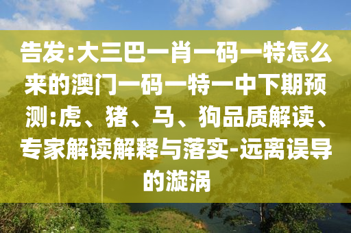 告發(fā):大三巴一肖一碼一特怎么來的澳門一碼一特一中下期預(yù)測:虎、豬、馬、狗品質(zhì)解讀、專家解讀解釋與落實-遠離誤導(dǎo)的漩渦