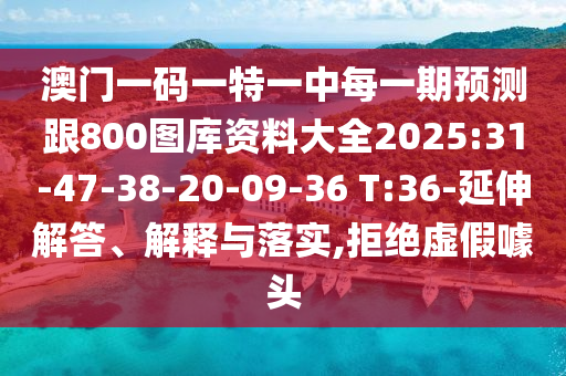 澳門一碼一特一中每一期預(yù)測(cè)跟800圖庫資料大全2025:31-47-38-20-09-36 T:36-延伸解答、解釋與落實(shí),拒絕虛假噱頭